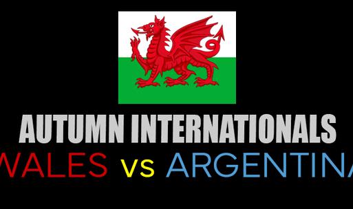 Wales v Argentina