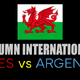 Wales v Argentina