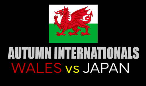 Wales v Japan