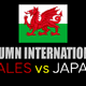 Wales v Japan