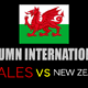 Wales v New Zealand