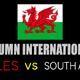 Wales v South Africa